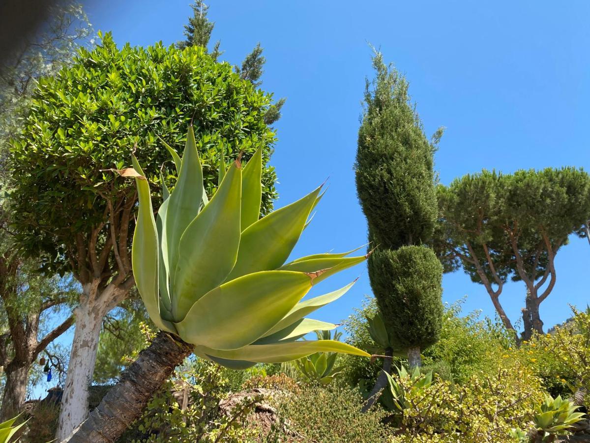 Detached House, 2 Bedrooms, Private Garden, Pool Holiday home *