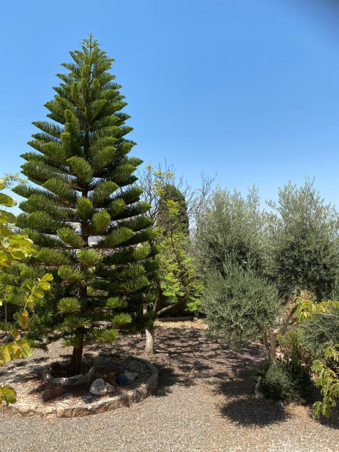 Holiday home Detached House, 2 Bedrooms, Private Garden, Pool